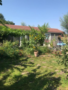 Rosa's zonnige huisje bij duinen bos en strand